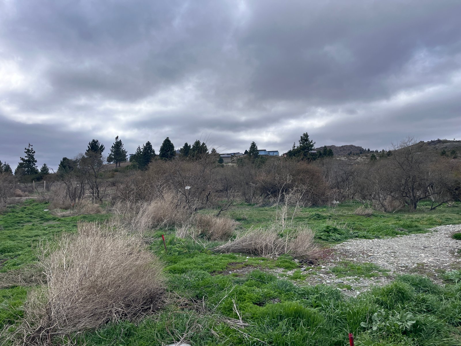 Lote en Bario Solares