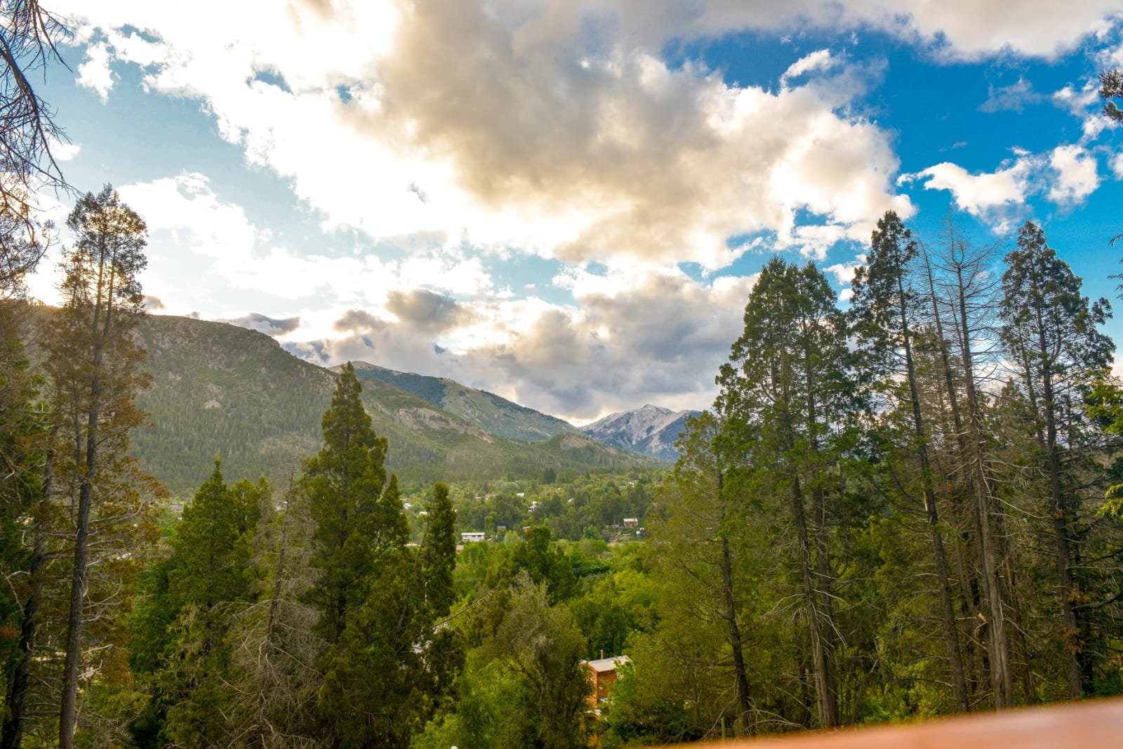 Cabaña Forest