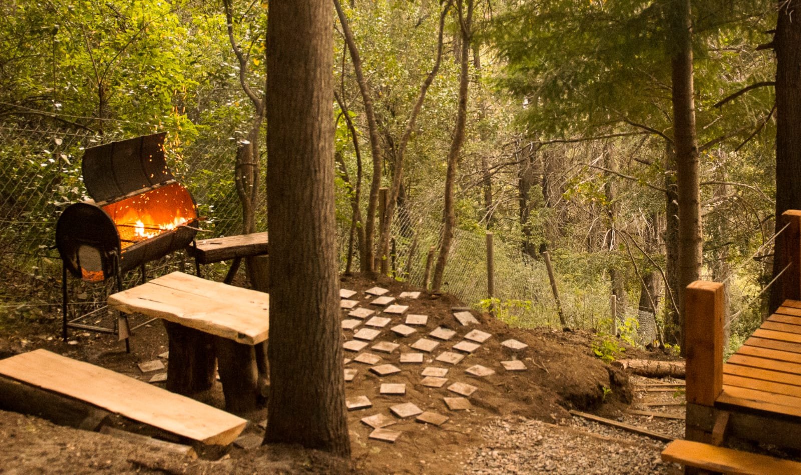 Cabaña Forest