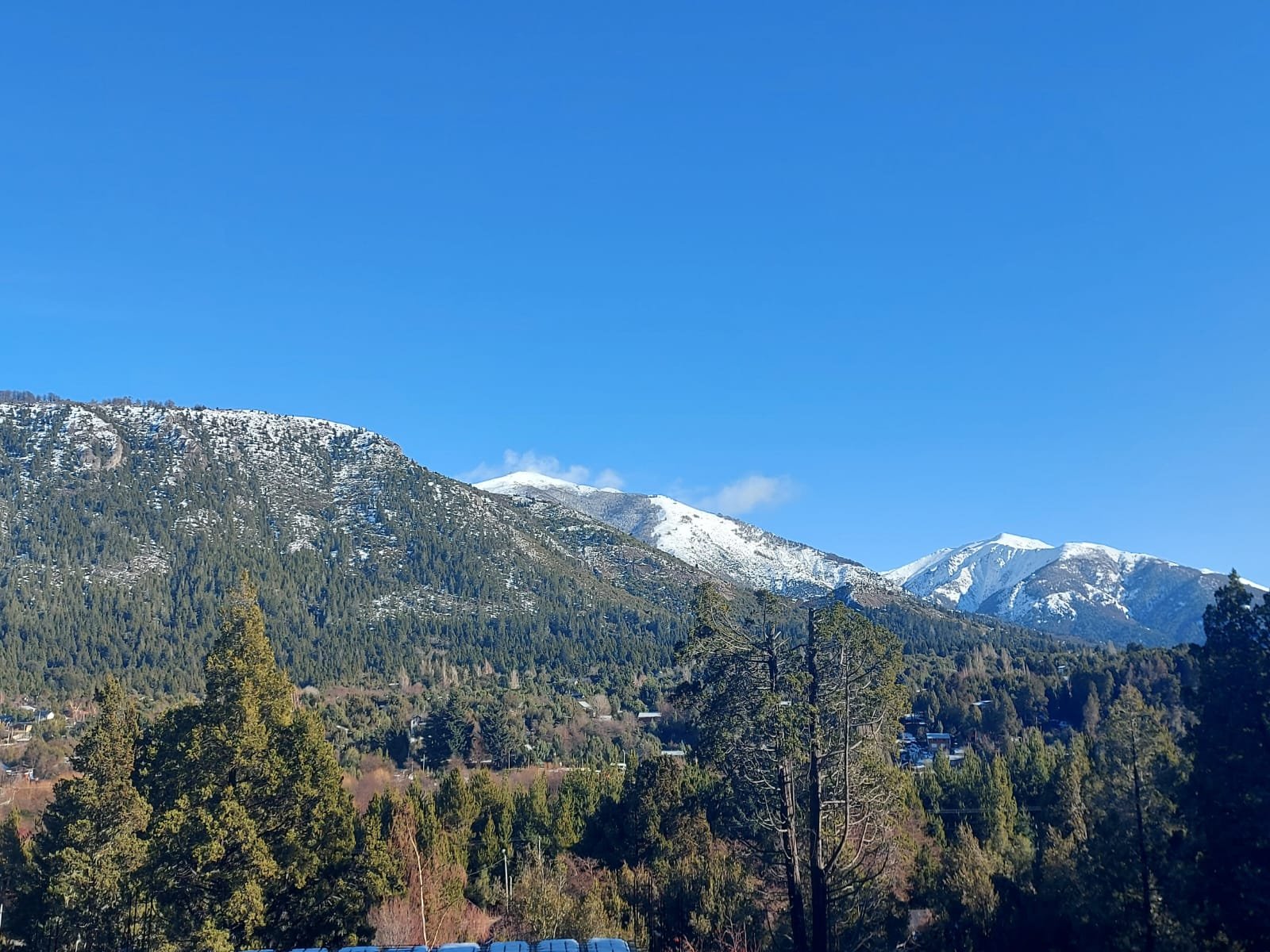 Cabaña Forest