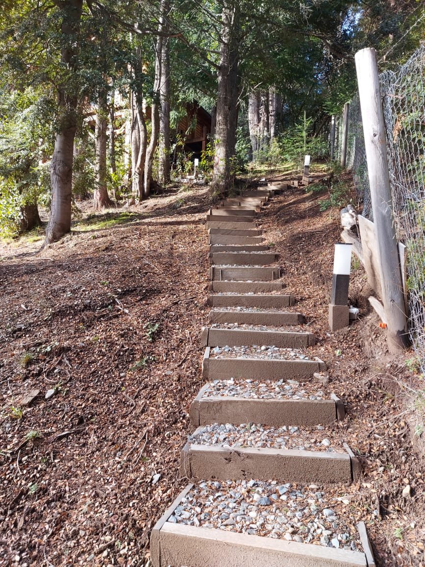 Cabaña Forest